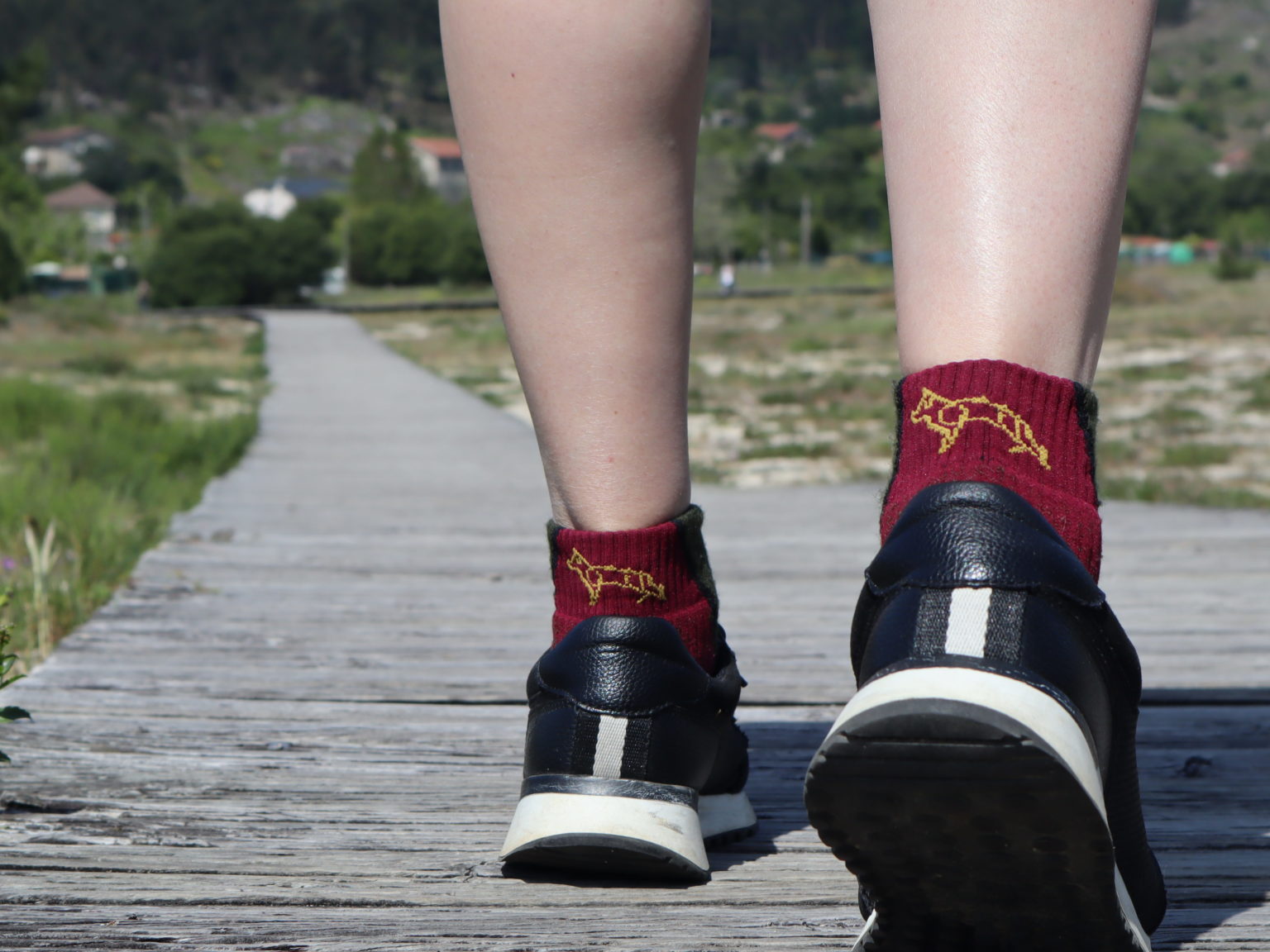 Choose the best socks for the Camino de Santiago. Skaapherder